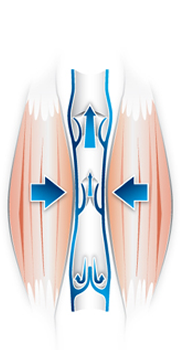 A környező izomzat által kifejtett nyomás is segíti a véráramlást.